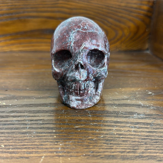 Garnet In Amphibolite 1.11lb Skull