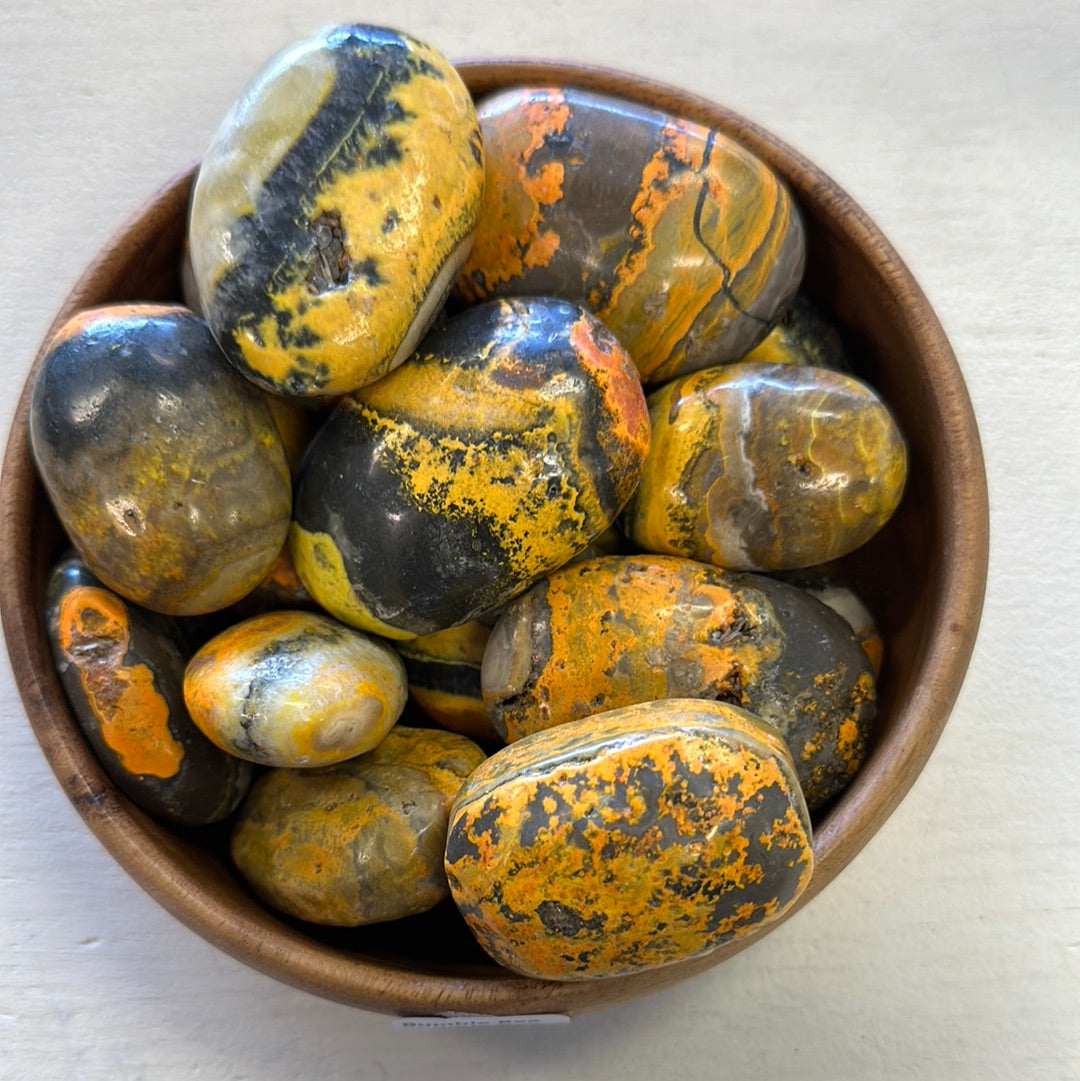 Bumble Bee Jasper Sm Palm