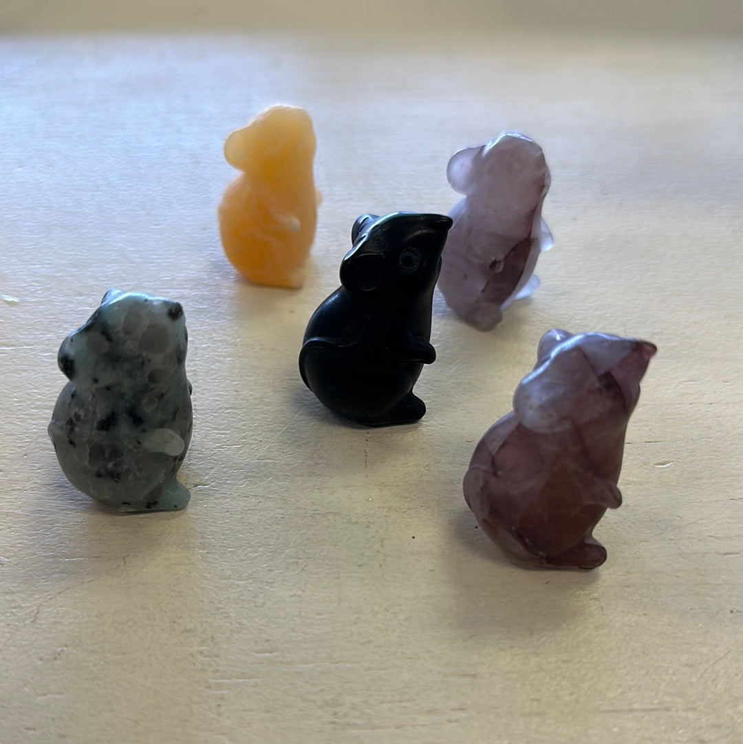 Gemstone Pocket Mouse