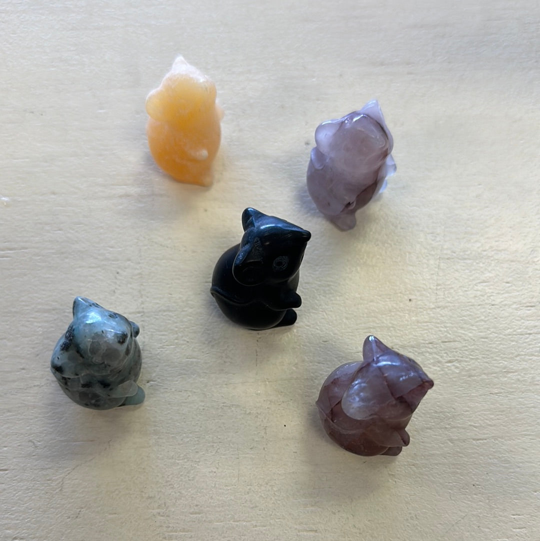 Gemstone Pocket Mouse