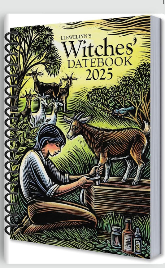 2025 Witches Datebook