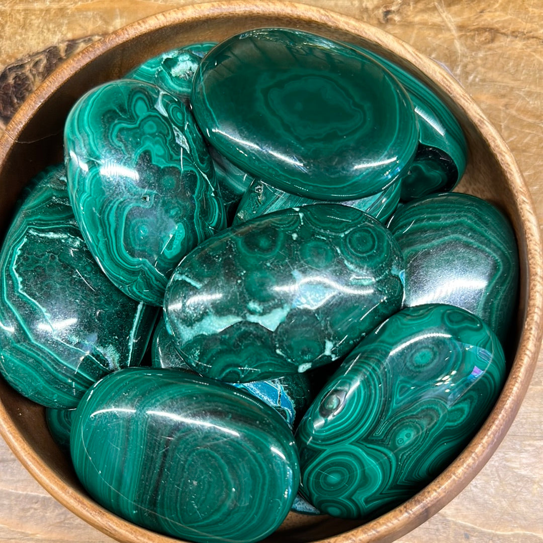 Malachite Palm