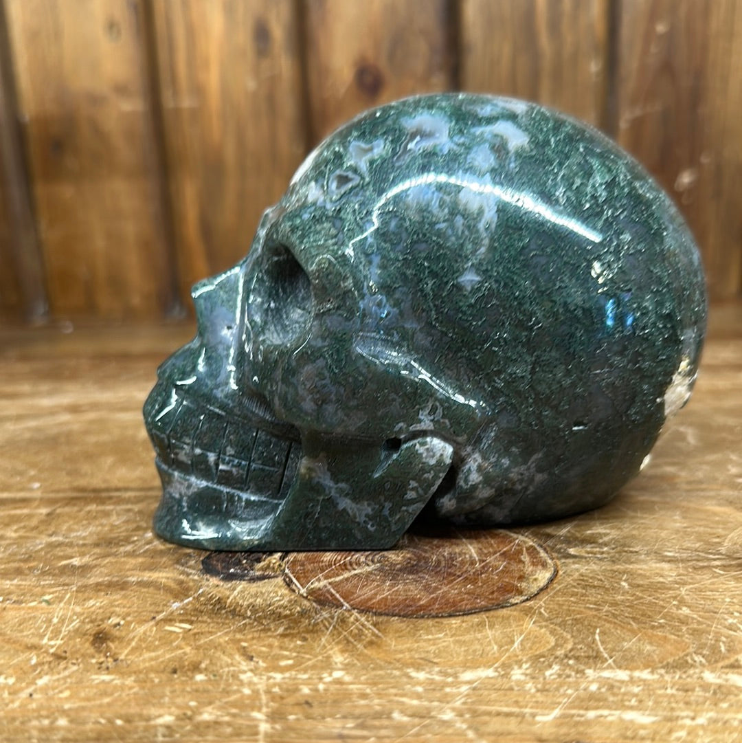 Moss Agate 3lb Skull