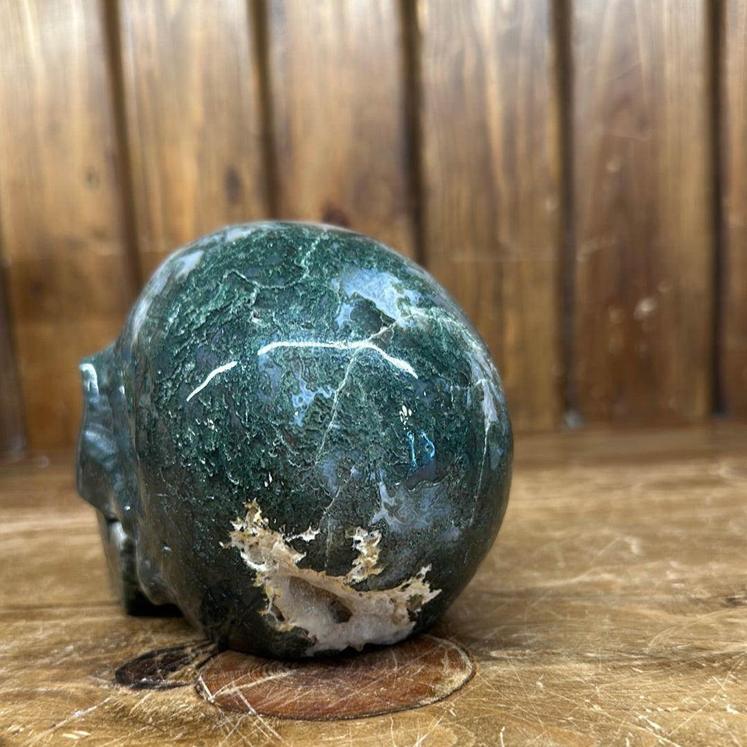 Moss Agate 3lb Skull