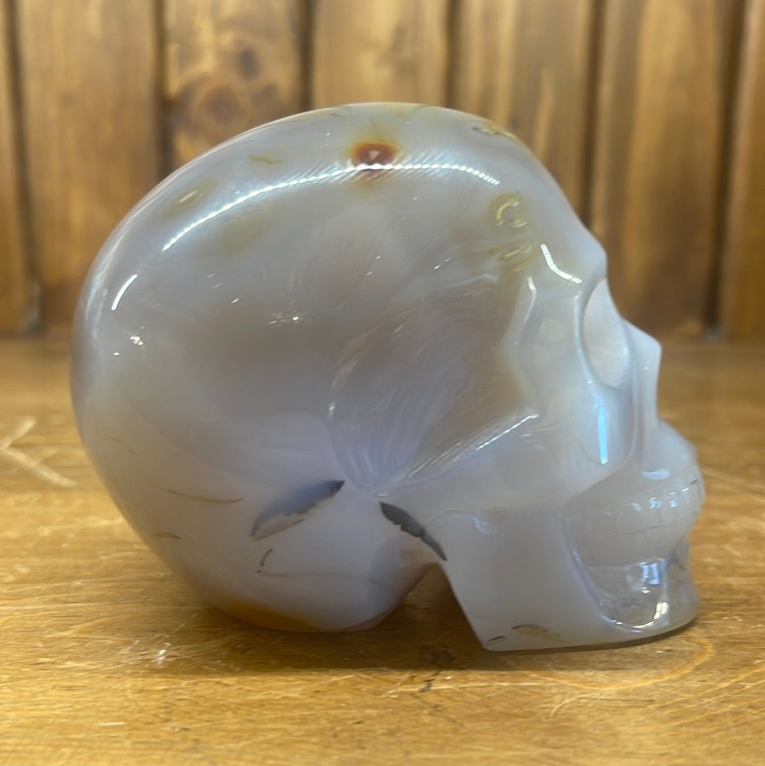 Agate 1.11lb Skull