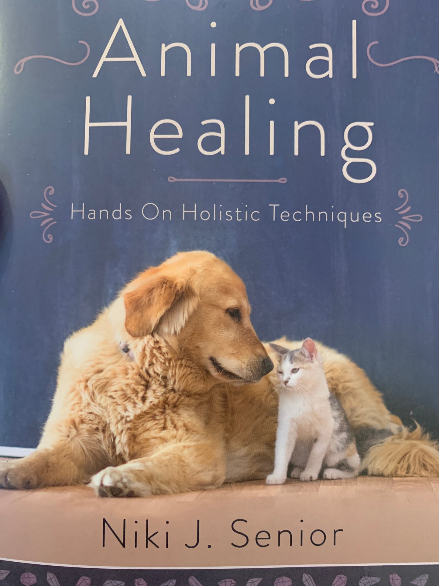 Animal Healing Senior