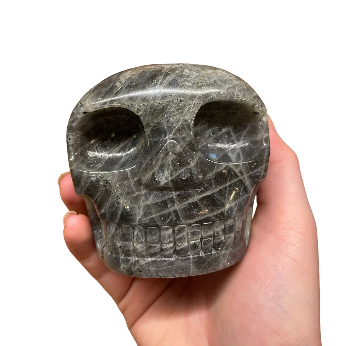 Labradorite 2lb Skull