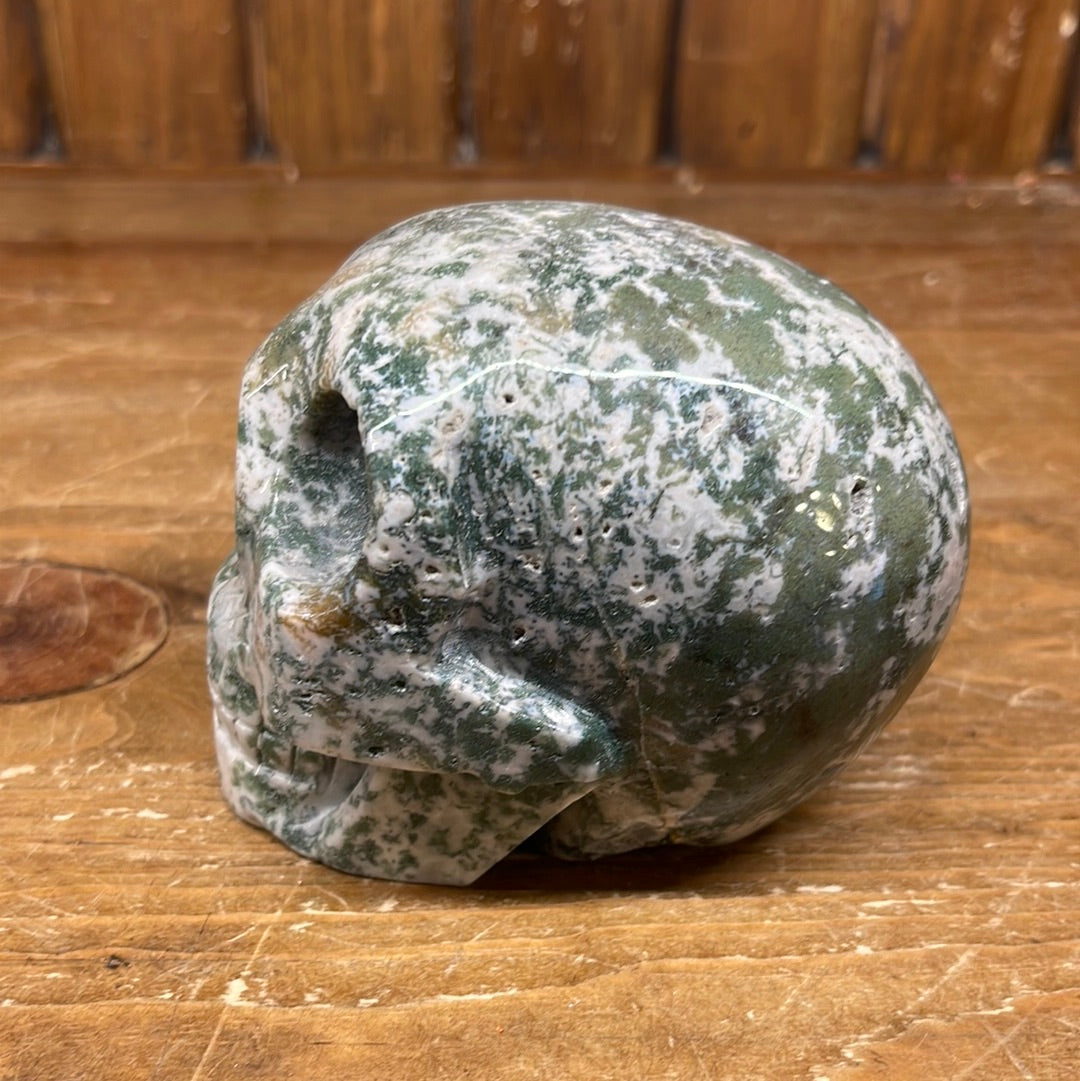 Moss Agate 2.9lb Skull