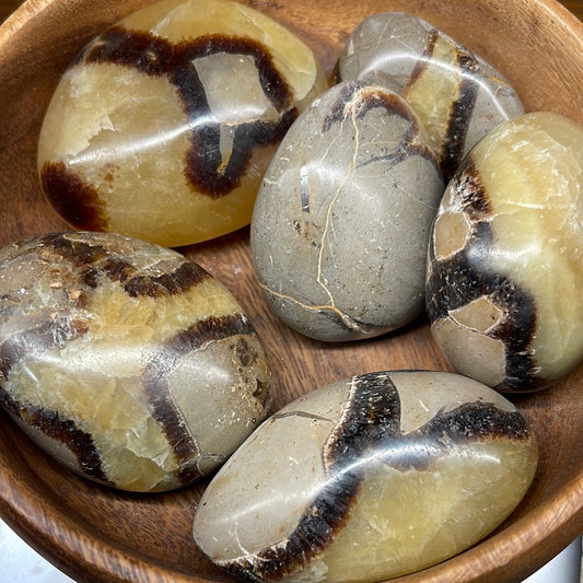 Septarian Jasper Sm Palm